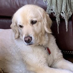 Goods Plumbing Heating & Cooling