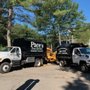 Photo of Pace's Tree Service