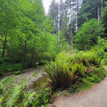 Prairie Creek Redwoods State Park - Parks Near Me - Orick, California Prairie Creek Redwoods State Park - Parks Near Me - Orick, California