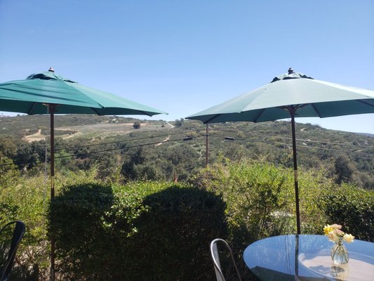 Ramona Ranch Winery by null