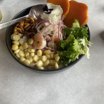 Peru Criollo - ceviche mixto mahi mahi - Peruvian Near Me - Chicago, Illinois