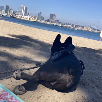 Tidelands Park - Parks Near Me - Coronado, California