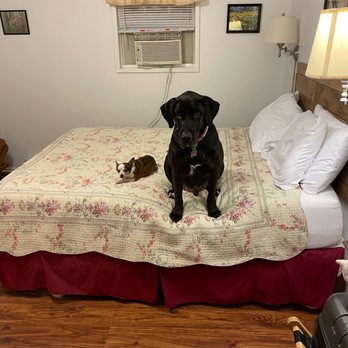Fancy Gap Cabins And Campground - Campgrounds Near Me - Fancy Gap, Virginia Fancy Gap Cabins And Campground - Campgrounds Near Me - Fancy Gap, Virginia
