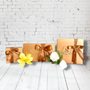 Photo of Apple Blossoms West