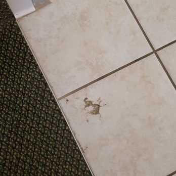 White River Inn and Suites - Cracked bathroom tile - Hotels Near Me - Hartford, Vermont
