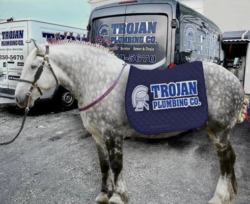 Trojan Plumbing Company Logo