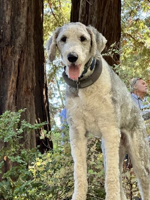 AXR Napa Valley by null