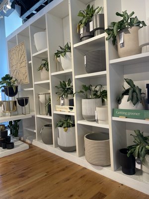 west elm by null