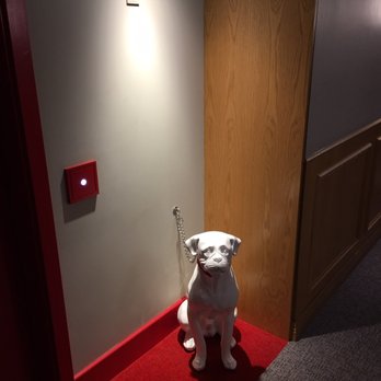Virgin Hotels Chicago - Guard Dog - Not sure if they have one on each floor. - Hotels Near Me - Chicago, Illinois Virgin Hotels Chicago - Guard Dog - Not sure if they have one on each floor. - Hotels Near Me - Chicago, Illinois