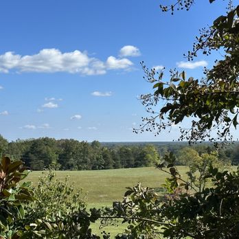 Southwest Mountain Vineyards - a view of a pasture - Wine Tasting Room Near Me - Keswick, Virginia Southwest Mountain Vineyards - a view of a pasture - Wine Tasting Room Near Me - Keswick, Virginia