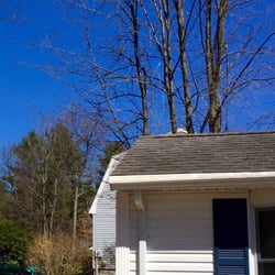 Tree Line Property Services - Cleared trees above bird room. Tom and crew are the heroes!
