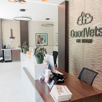 GoodVets The Wharf - Veterinarians Near Me - Washington, DC, District of Columbia GoodVets The Wharf - Veterinarians Near Me - Washington, DC, District of Columbia