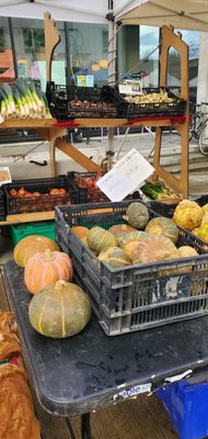 Capitol Hill Farmers Market by null