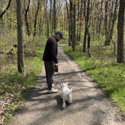 Dog and Cat Clinic of Niagara - Walking slowly 2 weeks after surgery
