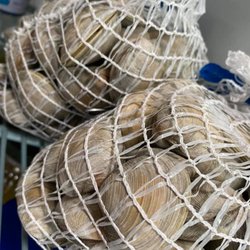 Chester River Clam Co