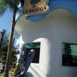 La Anacua