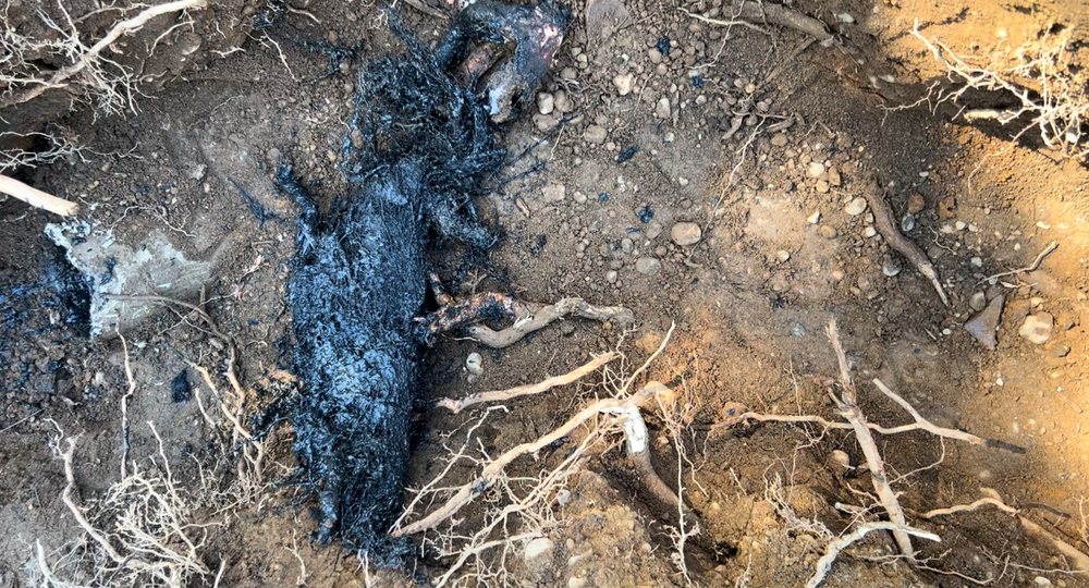 Slide of Cadien Sewer & Drain