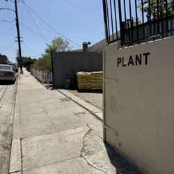 Plant Material - Back entrance on La Paz
