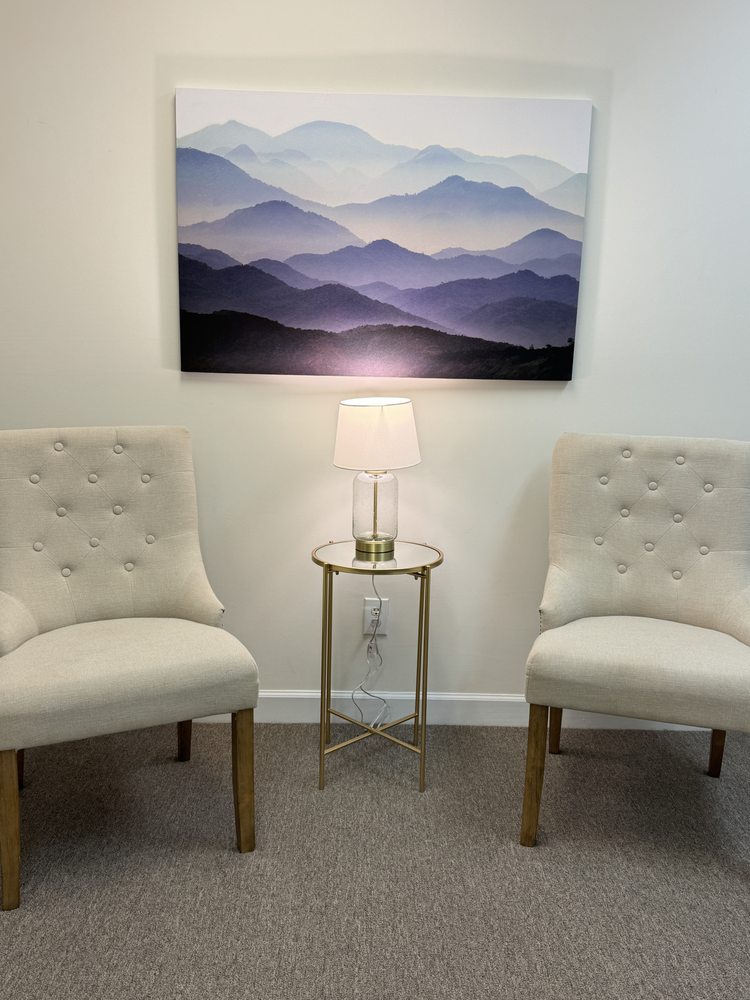 Be Still Holistic Counseling and Wellness - grief counselor in Cary, NC