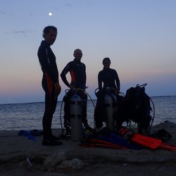 Liquid Soul Dive Centre - Shore entry night dives are our favourite.