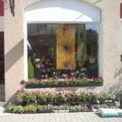Daisy's Blumen-Cabinett