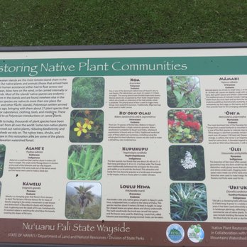 Nu'uanu Pali State Wayside - Parks Near Me Nu'uanu Pali State Wayside - Parks Near Me