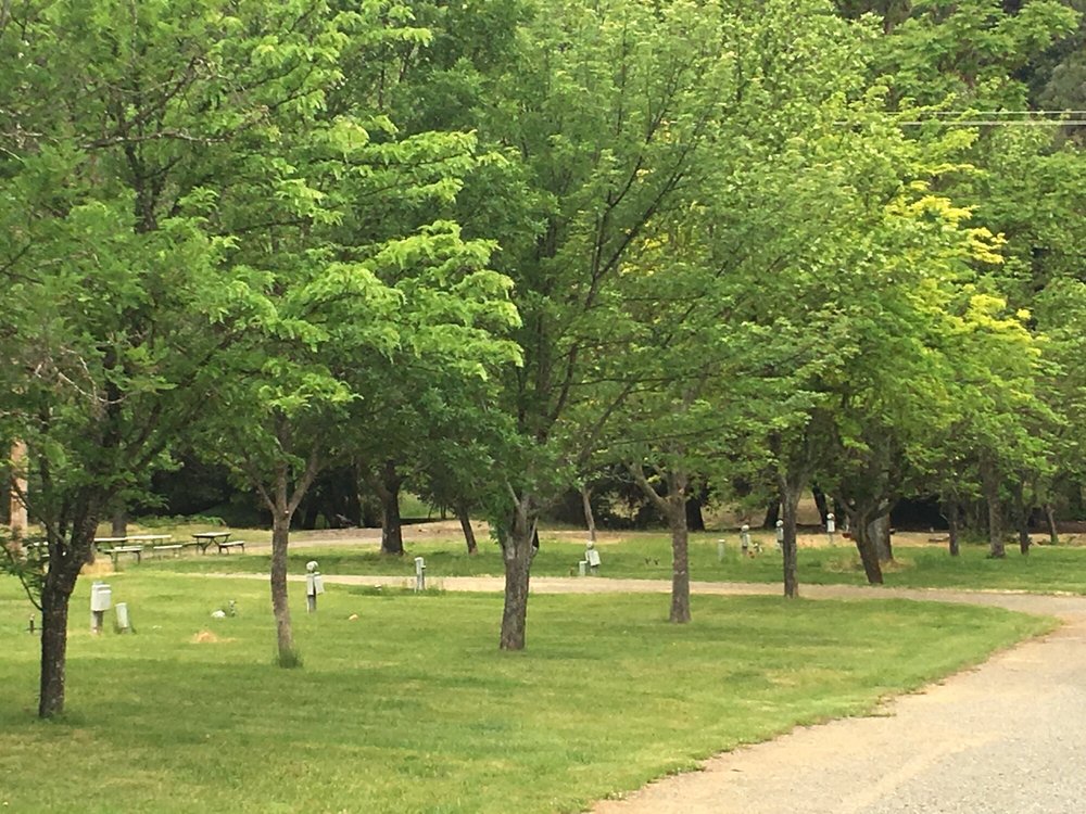 RIVER OAKS RESORT Updated September 2024 561 Deadwood Rd, Lewiston