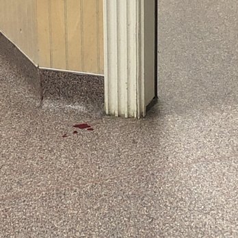 West Texas Emergency Veterinary Clinic - Blood from 11:00 pm last night - Veterinarians Near Me - Odessa, Texas West Texas Emergency Veterinary Clinic - Blood from 11:00 pm last night - Veterinarians Near Me - Odessa, Texas