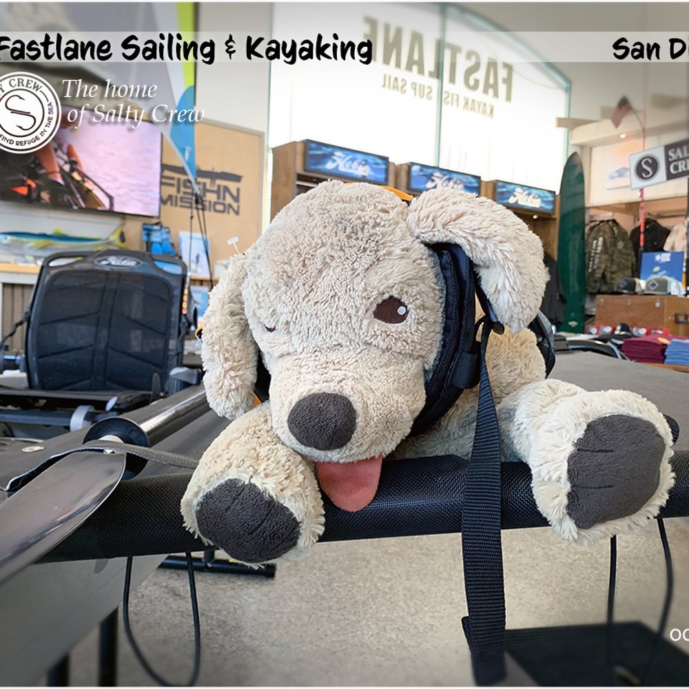 Fastlane Sailing & Kayaking - Sales floor | There's even a spot for "Spot!" - Big Aloha! - Rafting/Kayaking Near Me - San Diego, California Fastlane Sailing & Kayaking - Sales floor | There's even a spot for "Spot!" - Big Aloha! - Rafting/Kayaking Near Me - San Diego, California