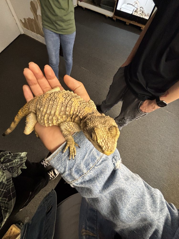 EcoVivarium