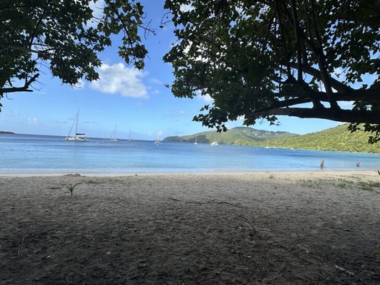 Brewers Bay Beach by null