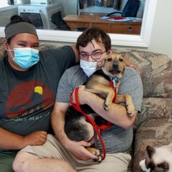 Mission Valley Animal Shelter - The day we adopted our bundle of fluff :)