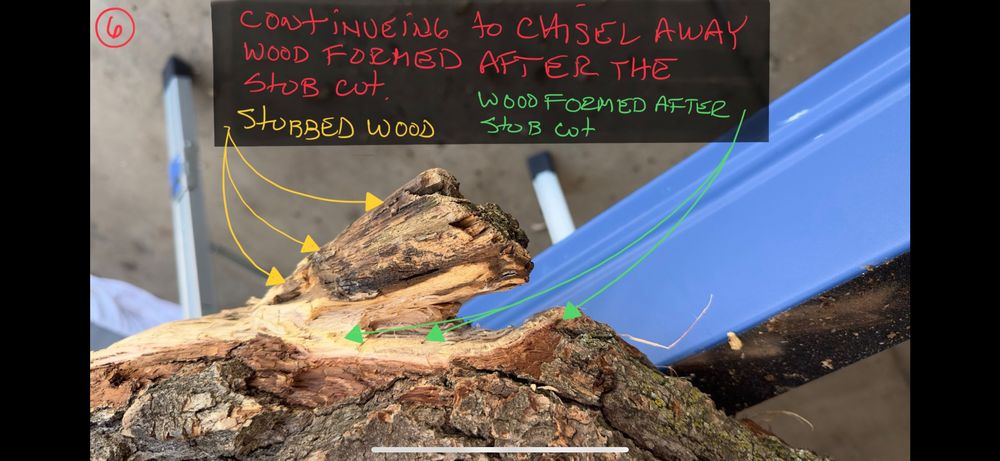 Native Tree Care - tree service in Amelia, OH