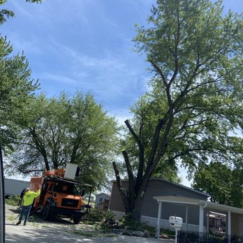 Premium Tree Service - Tree Services Near Me Premium Tree Service - Tree Services Near Me