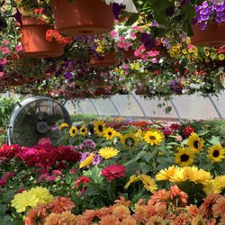 Charlton Landscaping & Nursery Supply - Annual greenhouse