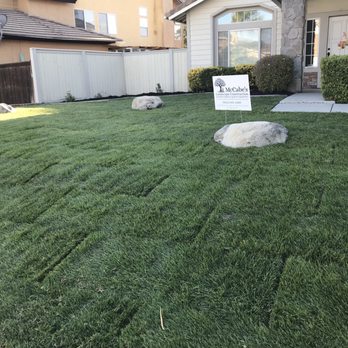 McCabe's Landscape Construction - Landscaping Near Me - Murrieta, California