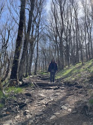 Blue Ridge Parkway - Craggy Gardens Visitor Center by null
