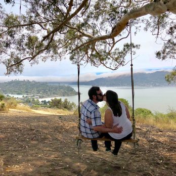 Hippie Tree - Hiking Near Me - Tiburon, California