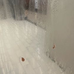 Life Time - ?? Weird ick on the steam room door