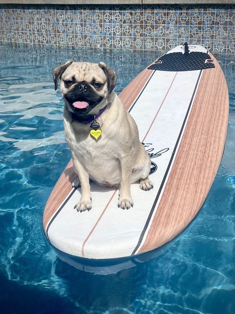 THE POOL SUPPLY STORE Updated October 2024 14 Reviews 2441 E