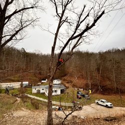 Buck'In It Up Tree Service
