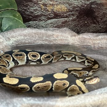Petco - Pet Stores Near Me - Santa Fe, New Mexico