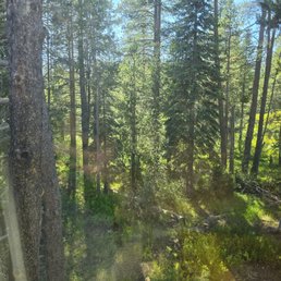 View out the window of a backside room.