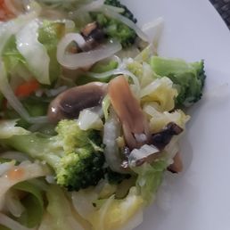Mushrooms Mushrooms