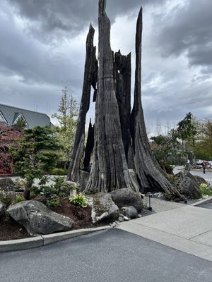 Willows Lodge by null