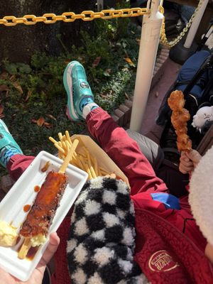 Asakusa Hanayashiki by null