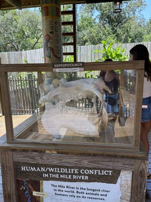 St. Augustine Alligator Farm Zoological Park by null