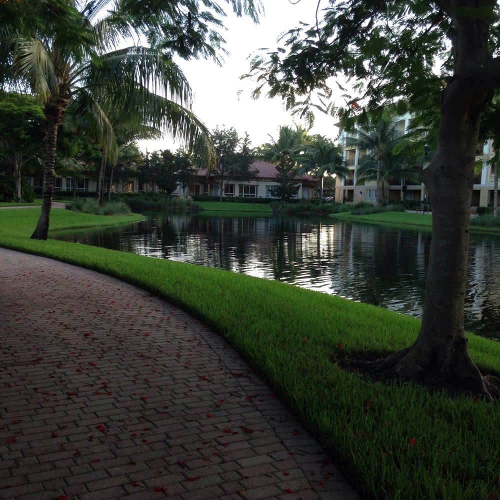 THE PALMS AT WESTON 16102 Emerald Estates Dr, Weston, FL Yelp