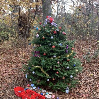 Bethpage State Park - Very pretty holiday tree on the nature trail. Created by Facebook group #NassauNYRocks - Parks Near Me - Farmingdale, New York Bethpage State Park - Very pretty holiday tree on the nature trail. Created by Facebook group #NassauNYRocks - Parks Near Me - Farmingdale, New York