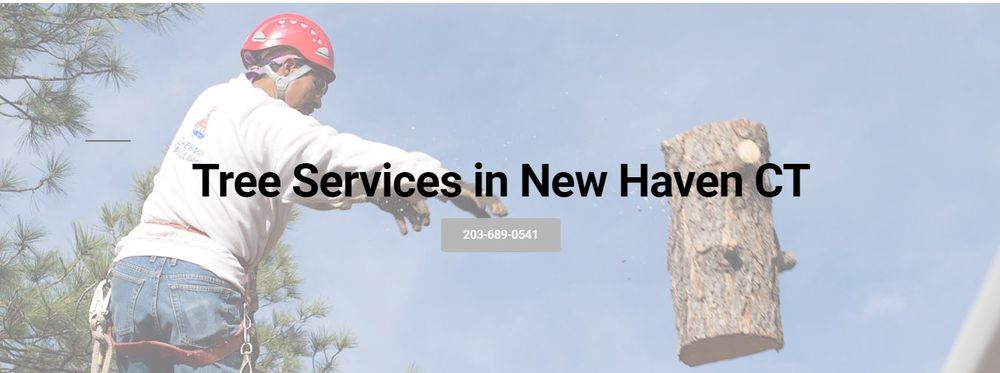 Tree Services New Haven - tree service in New Haven, CT